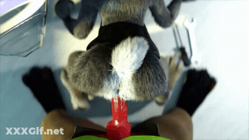 Animation Cum Doggystyle POV GIF