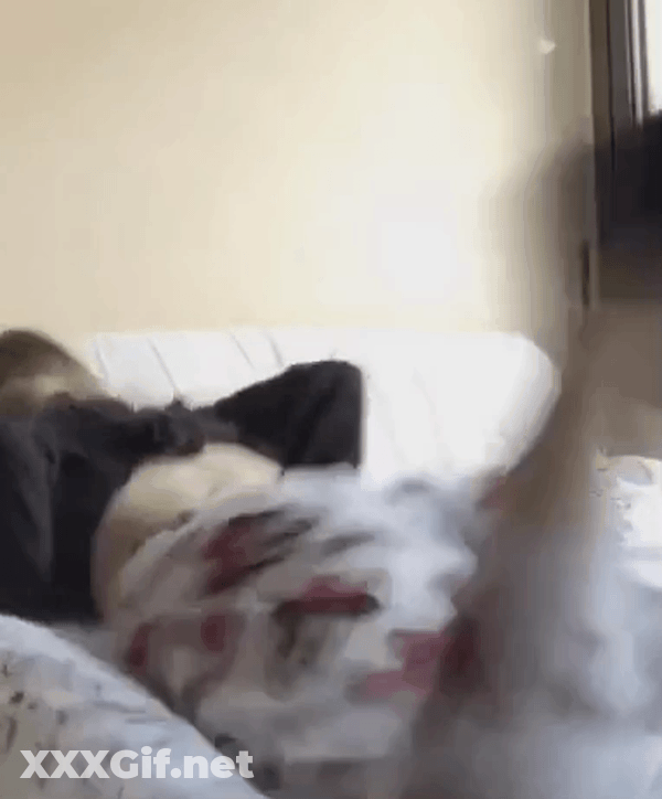 Bubble Butt GIF