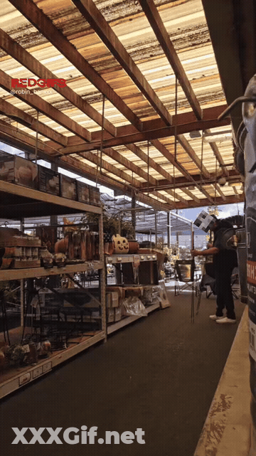 Garden Section Shopping GIF