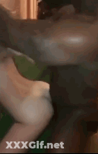 Homemade Interracial Amateur Porn GIF
