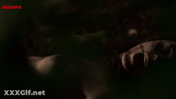 Jessica Reynolds - The Wolf, The Fox, And The Leopard (2025) GIF