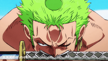 One Piece Porn GIF