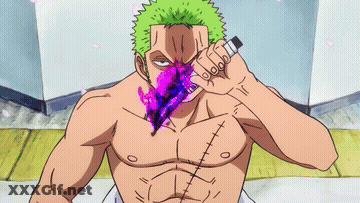 One Piece Porn GIF