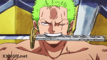 One Piece Porn GIF