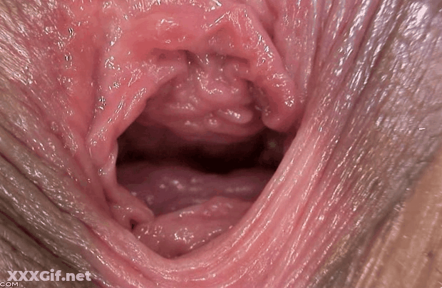 Pussy Pink: A Slick, Juicy Vagina Ready For Your Cock GIF