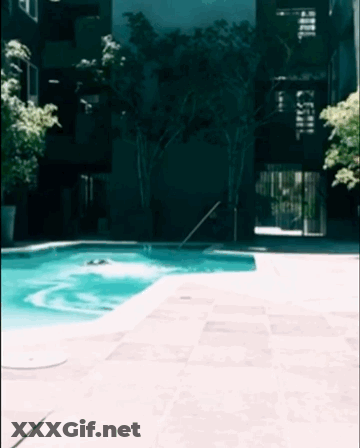 Sierra Love's Bikini Pool Adventure GIF