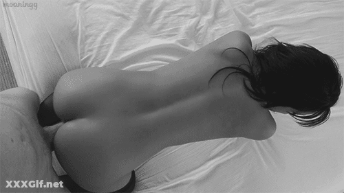Twerking Porn GIF