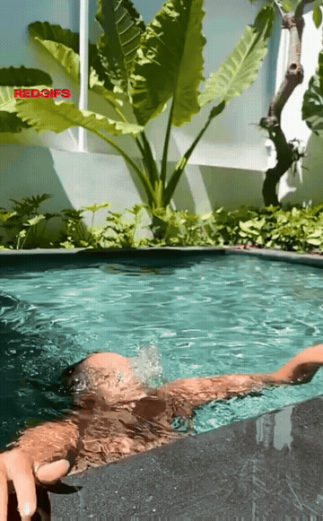 Nice Tits GIF