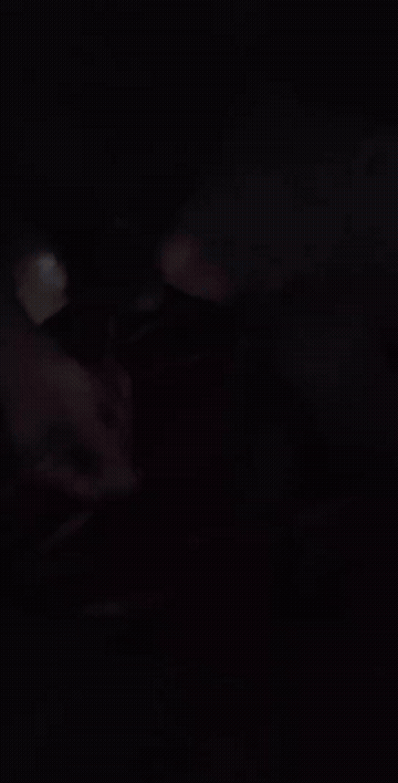BBC Gay Porn GIF