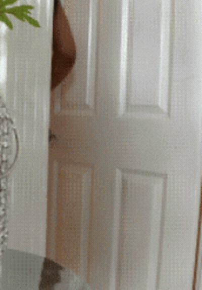 Butt-Crazy White Door GIF