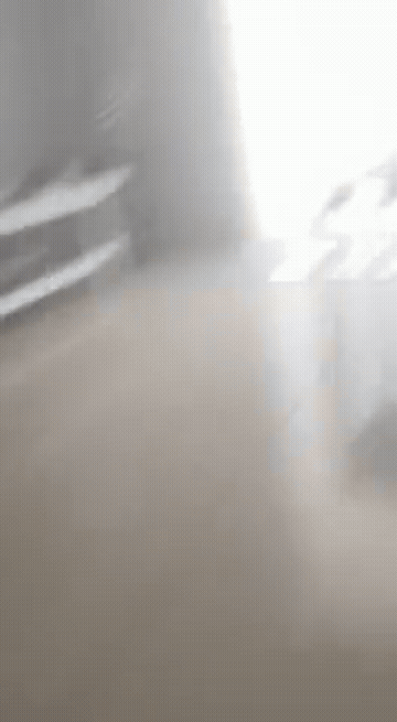 Cheating Porn Gif