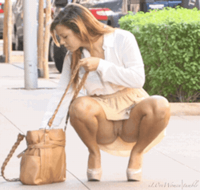 Commando Chick's Exhibitionist Boxshot GIF