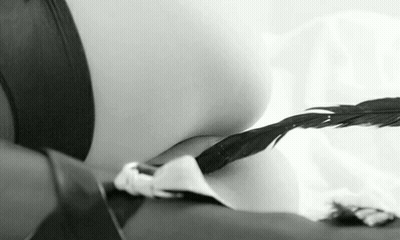 Feather Tease: Pussy Stroke & Tickle GIF
