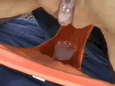 Fuck Me: A Sensual Creamypussy Experience GIF