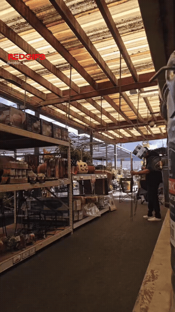 Garden Section Shopping GIF