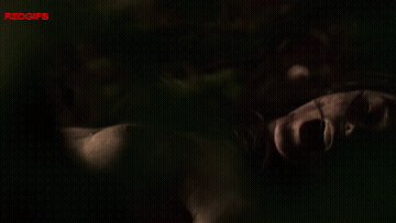 Jessica Reynolds - The Wolf, The Fox, And The Leopard (2025) GIF