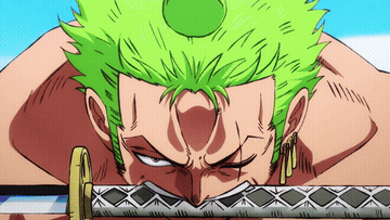 One Piece Porn GIF
