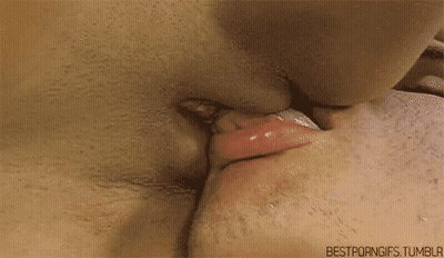 Pussy Licking Close Up GIF