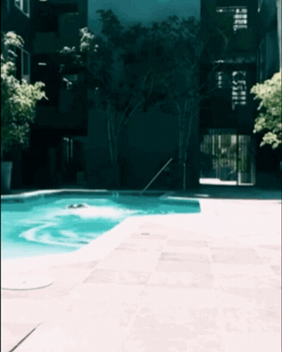 Sierra Love's Bikini Pool Adventure GIF